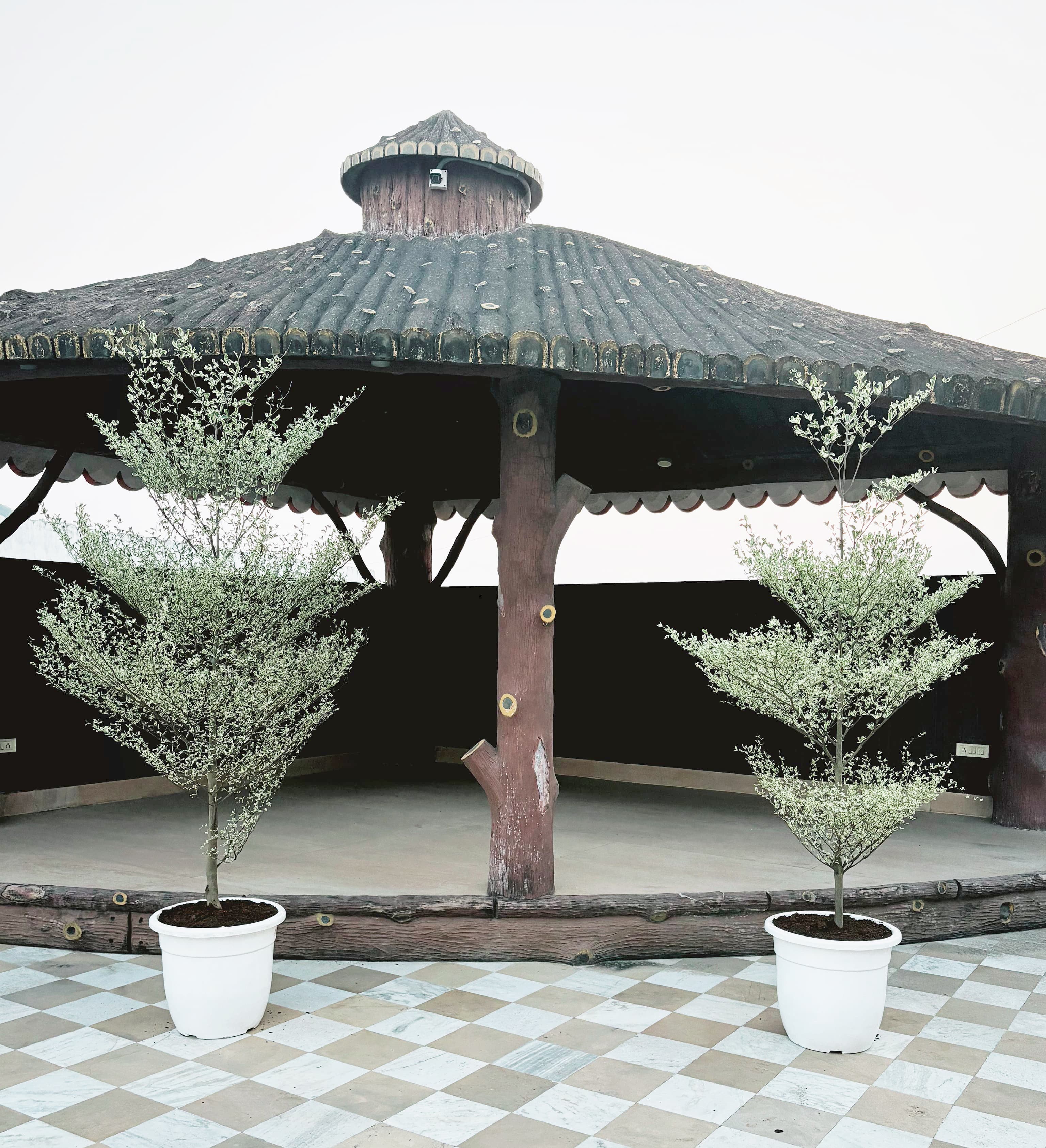 Aloo Gudam - Aloo Gudam landscape project