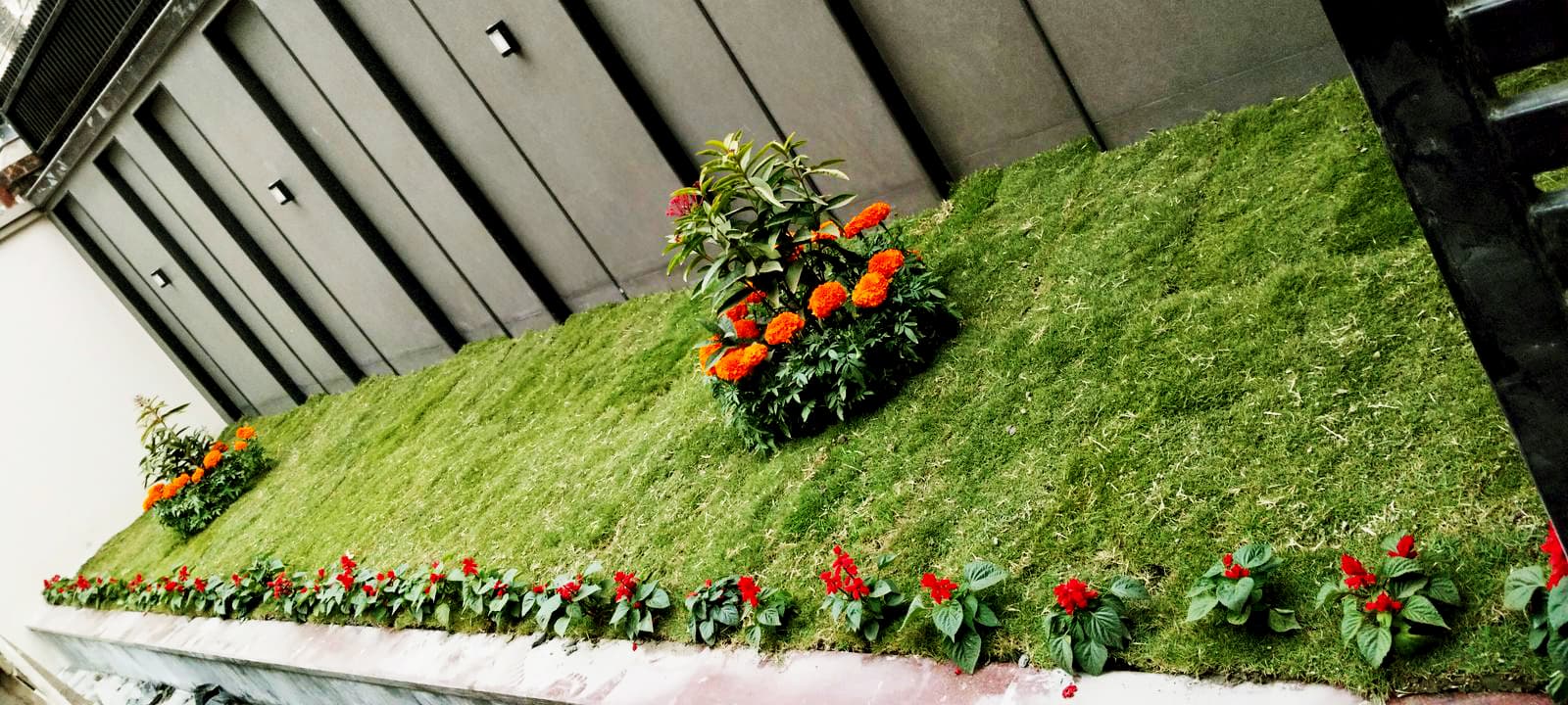 J. Barman - J. Barman landscape project