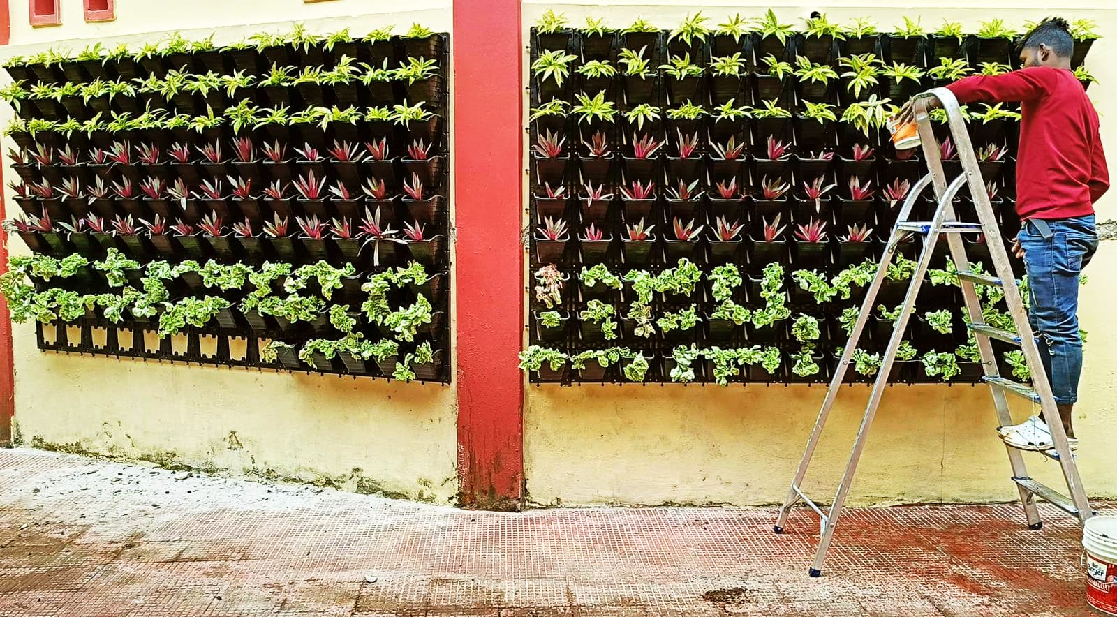 Kendrya Vidyalaya - Kendrya Vidyalaya landscape project