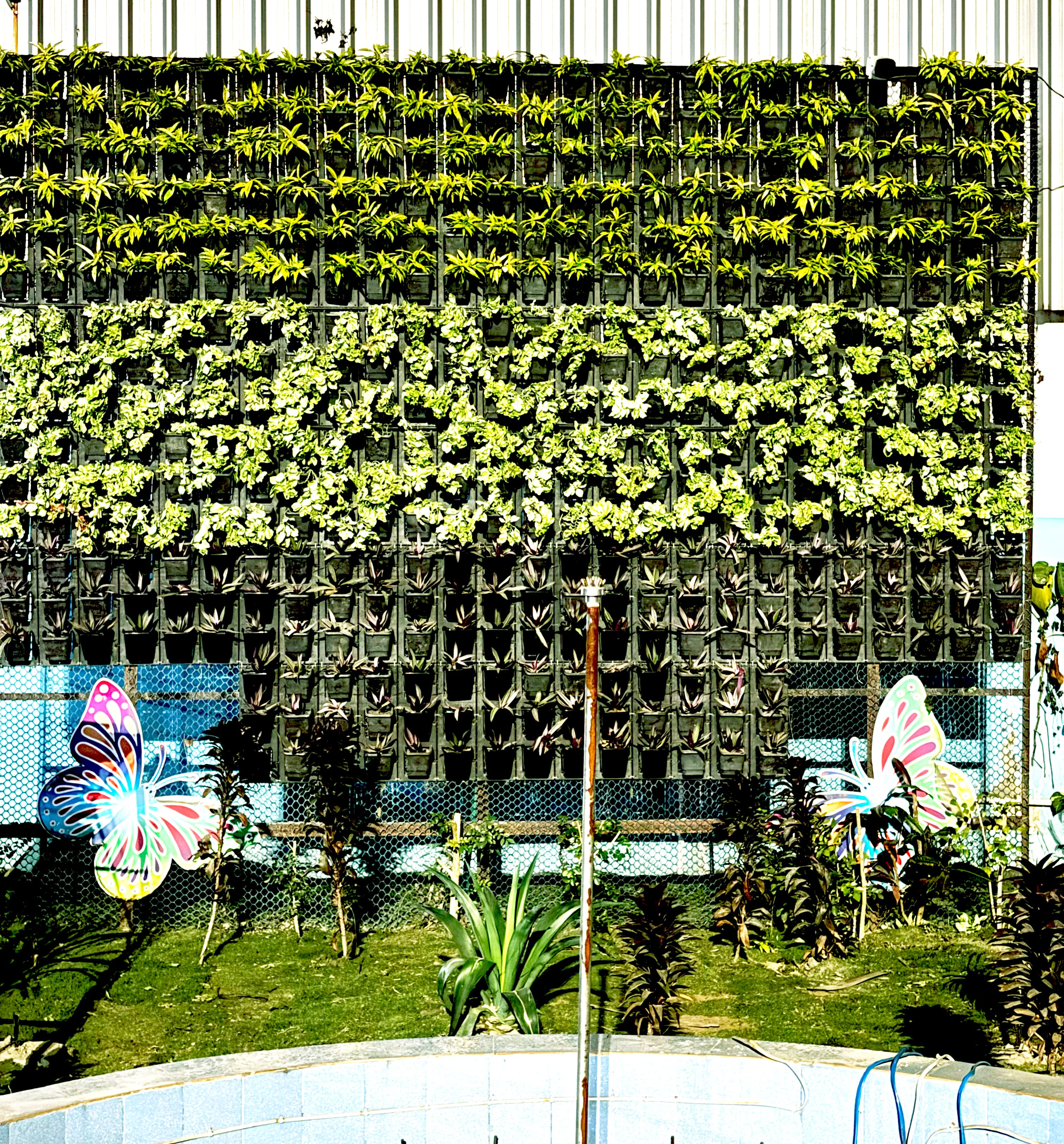 Coaching Depot, Kamakhya - Coaching Depot landscape project