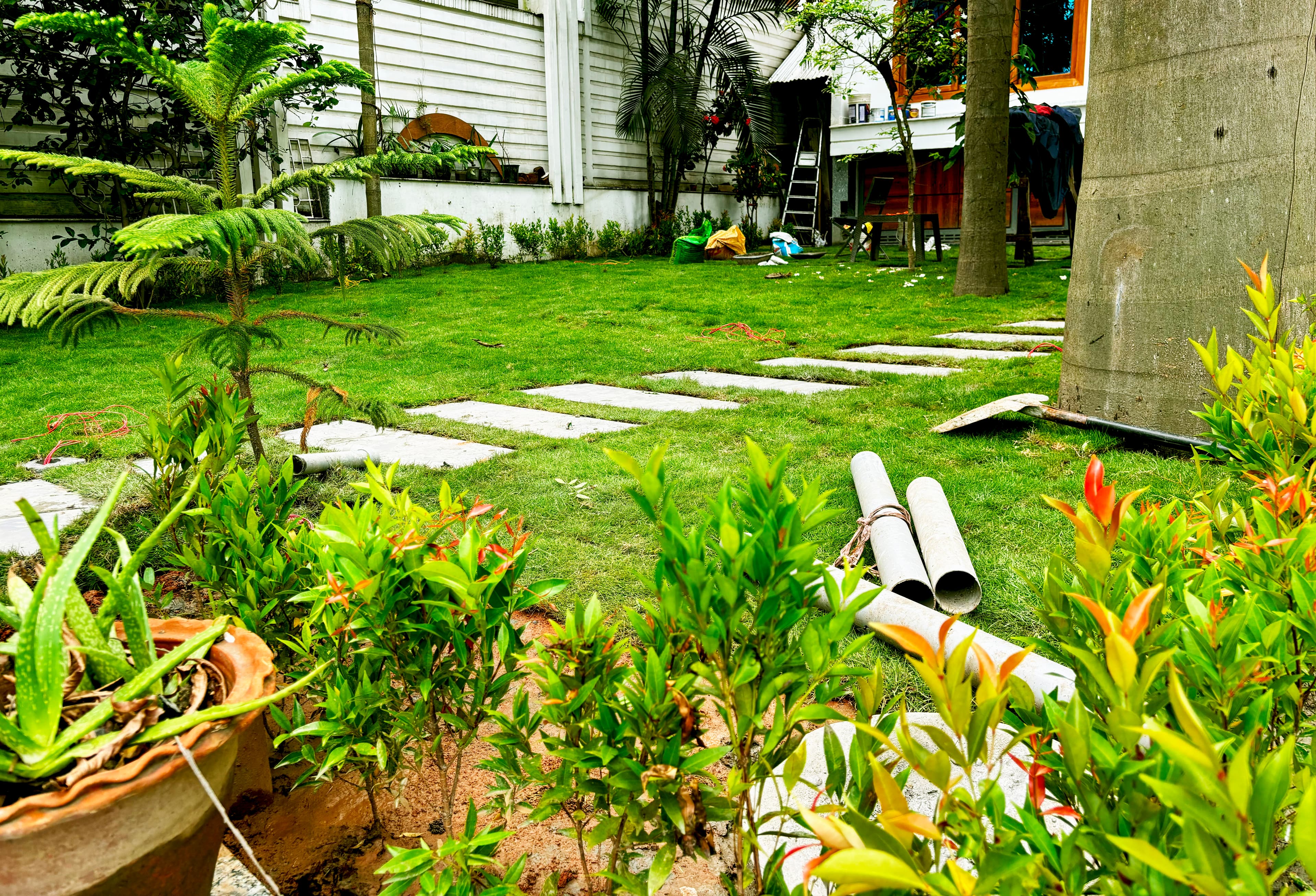 Mridul Boro - Mridul Boro landscape project