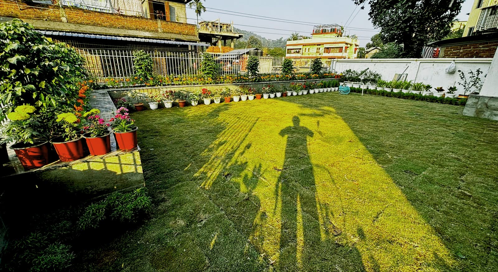 Mithun Das - Mithun Das landscape project