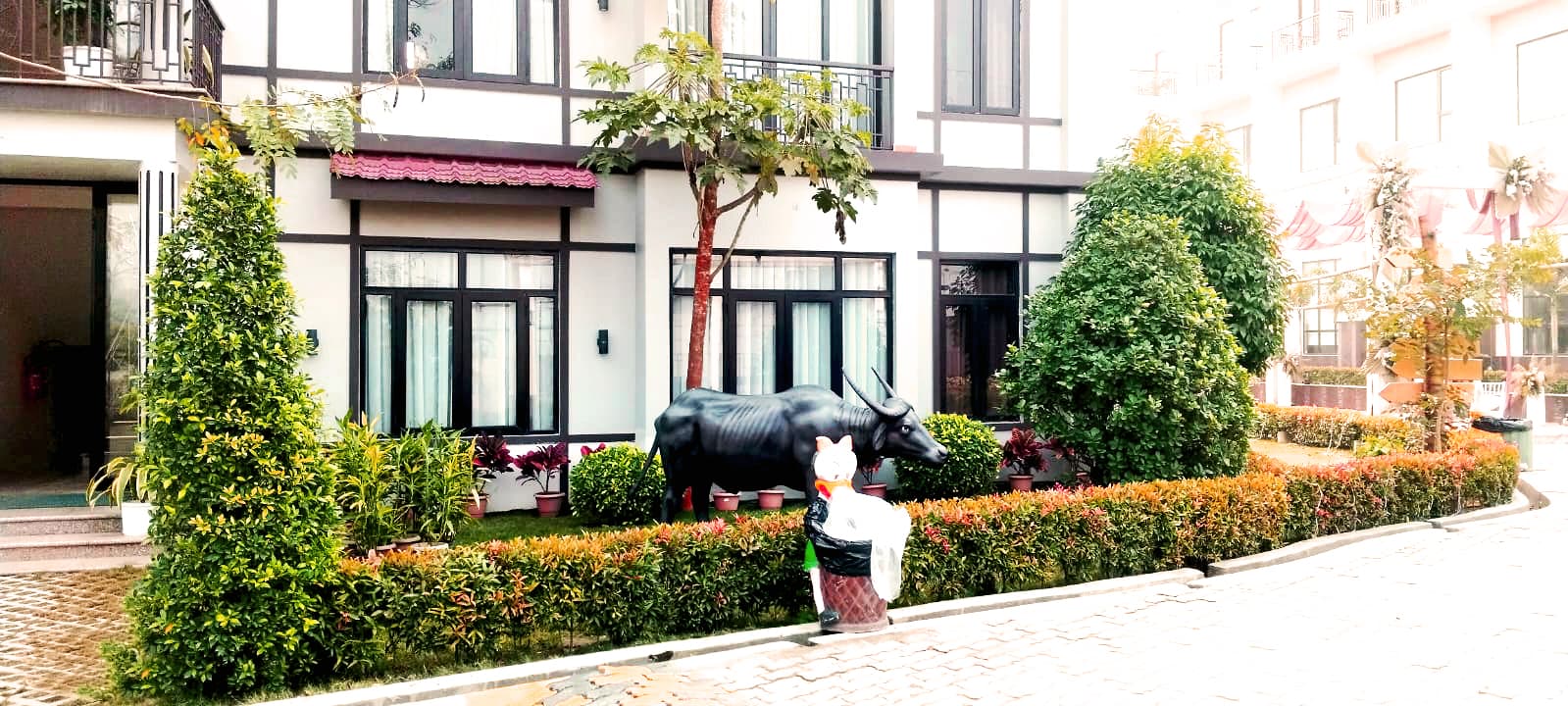 Mystique Mayong Eco Resort - Mystique Mayong Eco Resort landscape project