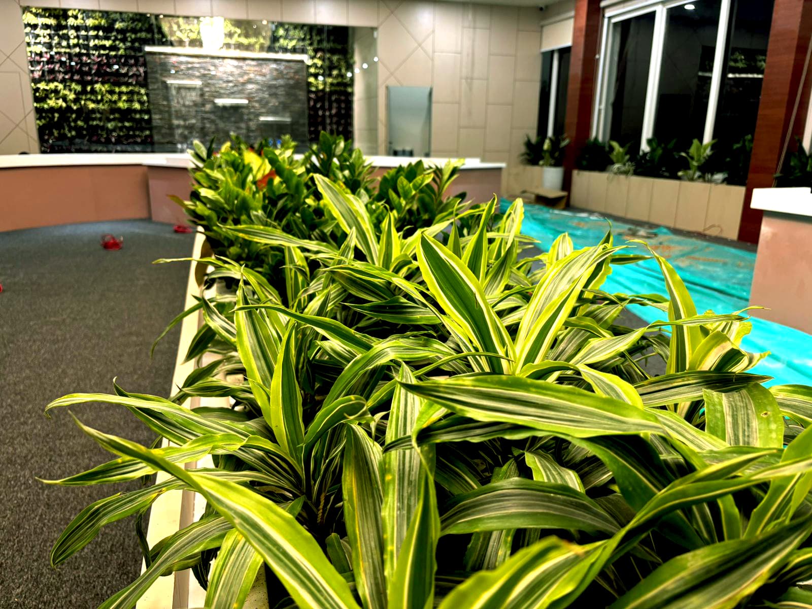 Nirbachan Bhawan - Nirbachan Bhawan landscape project