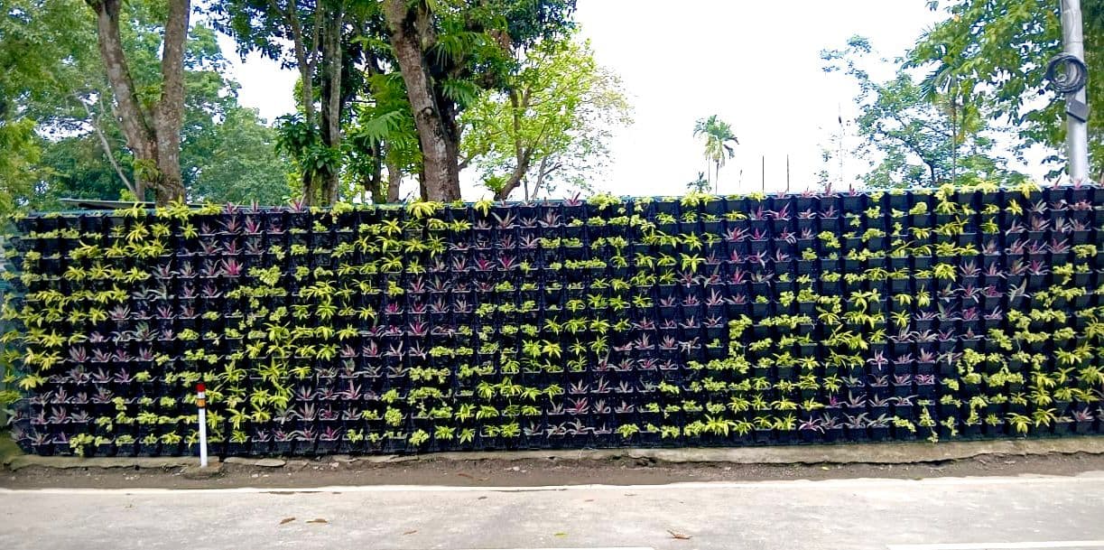 Rangia - Rangia BSF Camp landscape project