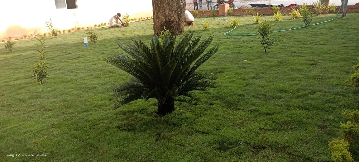 Industrial Gardening - Industrial and commercial landscaping solutions