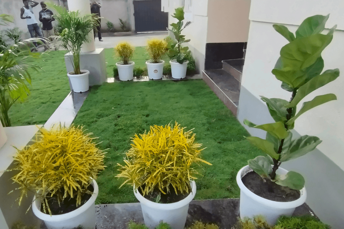 Flora Garden Landscape Design Workflow Process